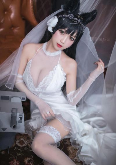 爱的荣耀台湾电视剧免费观看