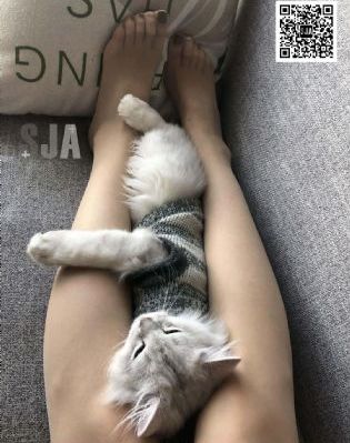 死亡录像