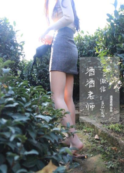 我的中尉先生动漫