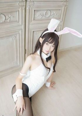 电视剧白夜破晓免费观看