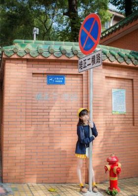 歌手·当打之年 综艺