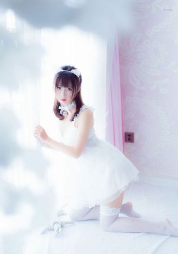 charlotte夏洛特