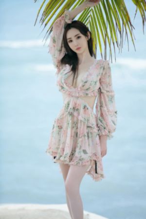 汪汪队立大功十季免费版