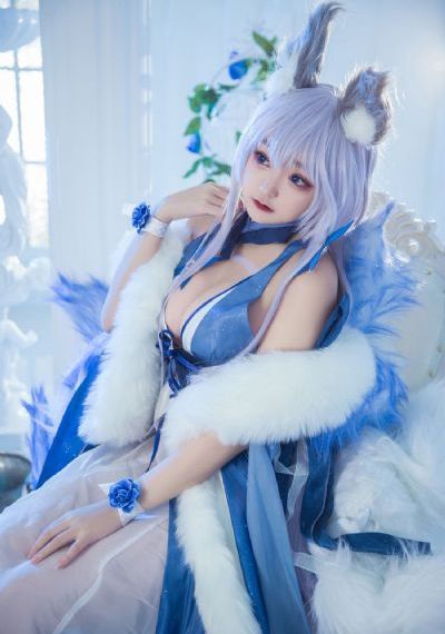 《流浪狗》电影