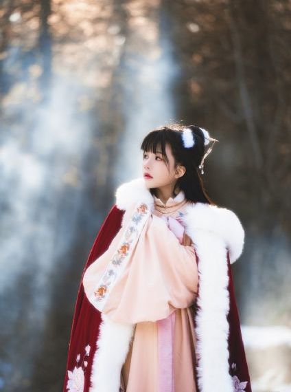 美丽的代价