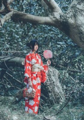淑女的诱惑