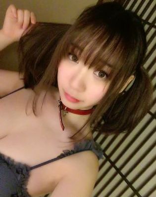狮子王辛巴动画片国语版免费观看
