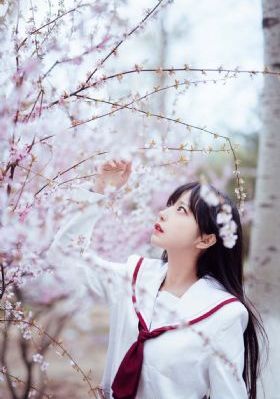 数码宝贝第二季